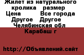 Жилет из натурального кролика,44размер › Цена ­ 500 - Все города Другое » Другое   . Челябинская обл.,Карабаш г.